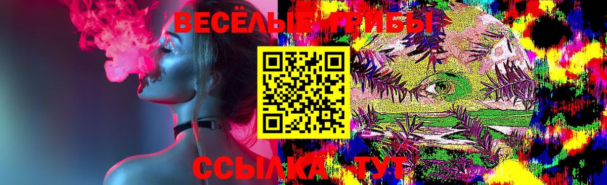 Псилоцибиновые грибы прущие грибы Камышлов