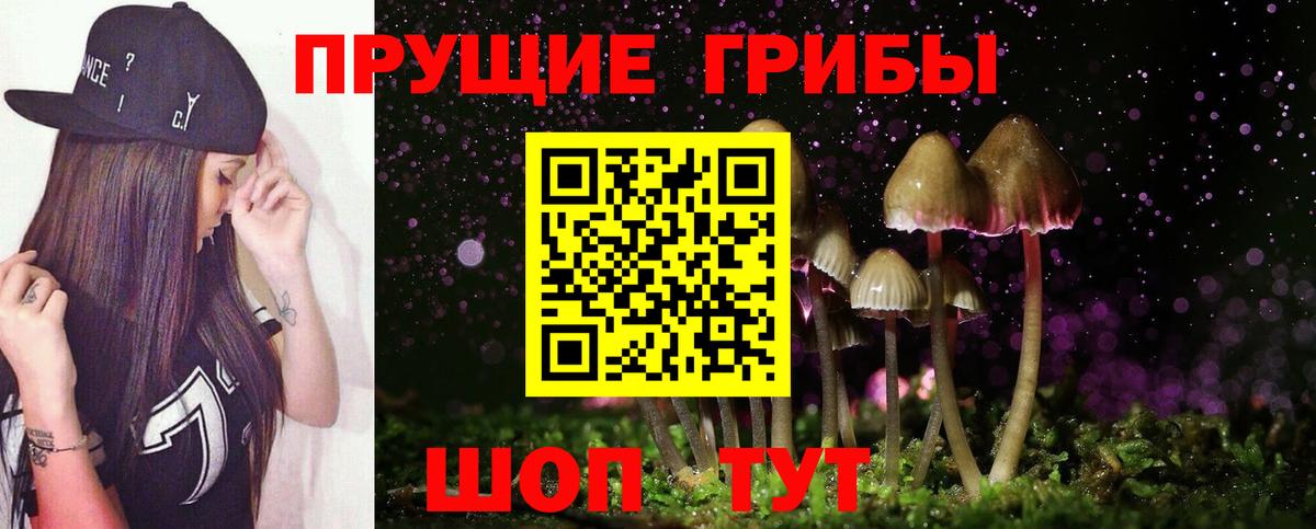 ГАШ Камышлов