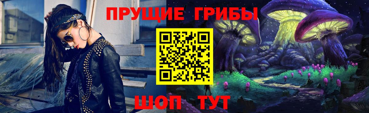 Псилоцибиновые грибы Cubensis  Вход с VPN  Камышлов 